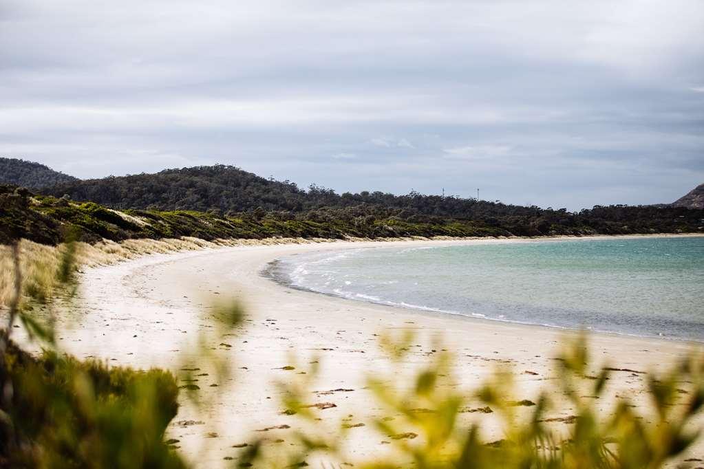 Saffire - Freycinet Hotel Coles Bay Nature photo
